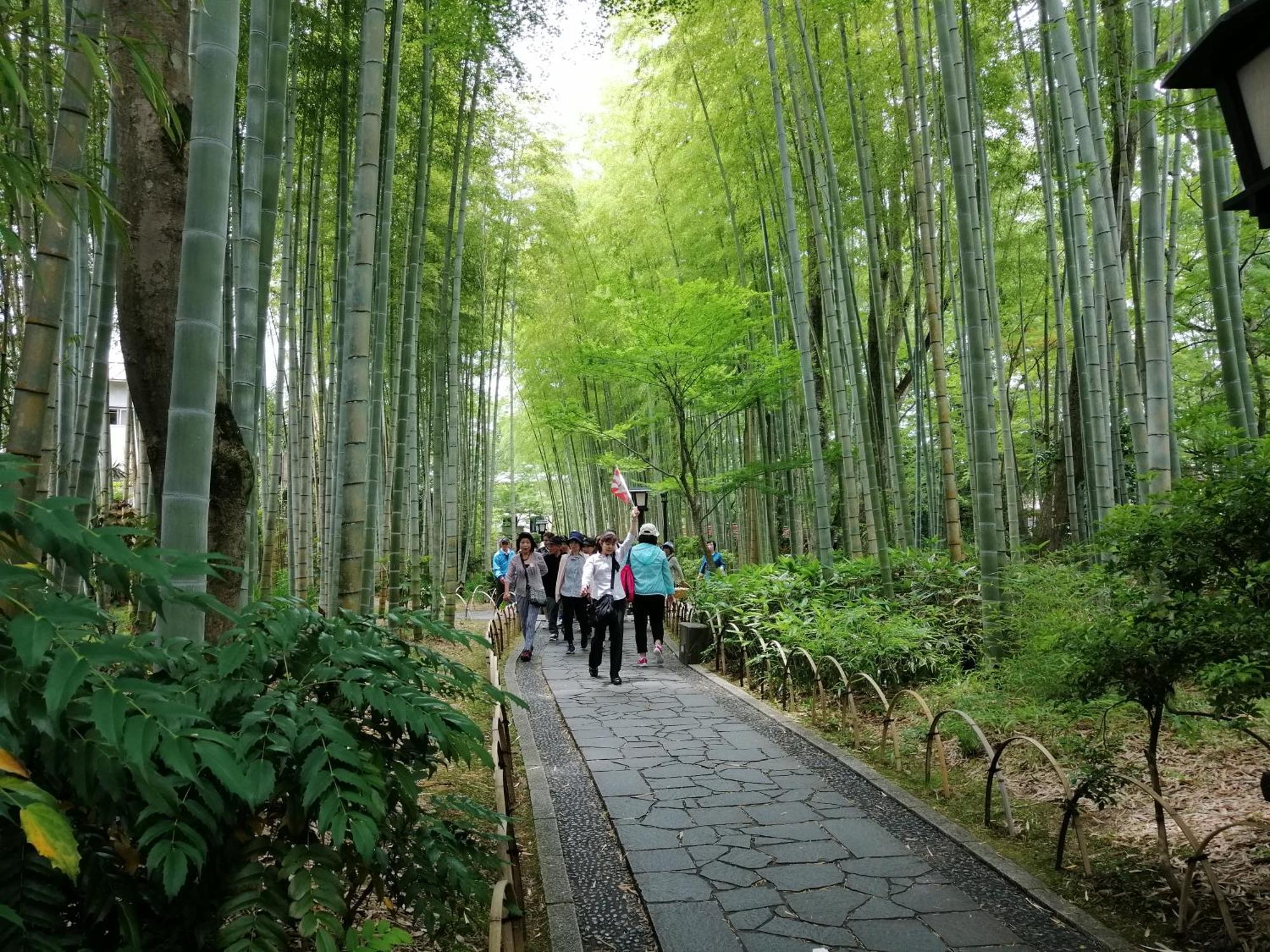Hamayuu Higashiizu Esterno foto